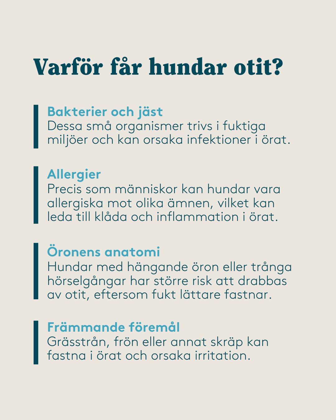 Furry Family - "Har din hund fått öroninflammation?", a six slide educational carousel in the brand's clinical calm palette. Concept, copy structure, layout and design by me. Swipe through the slides. - slide 3