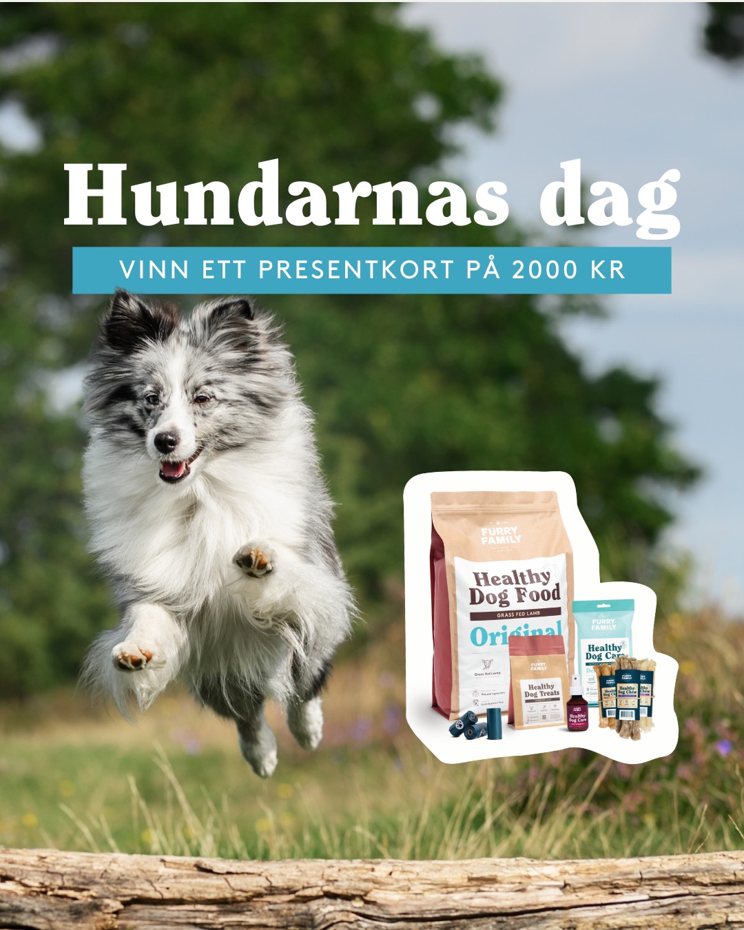 Furry Family - "Hundarnas dag" giveaway post, 1080 x 1350 px. Concept, layout, product montage and design by me.